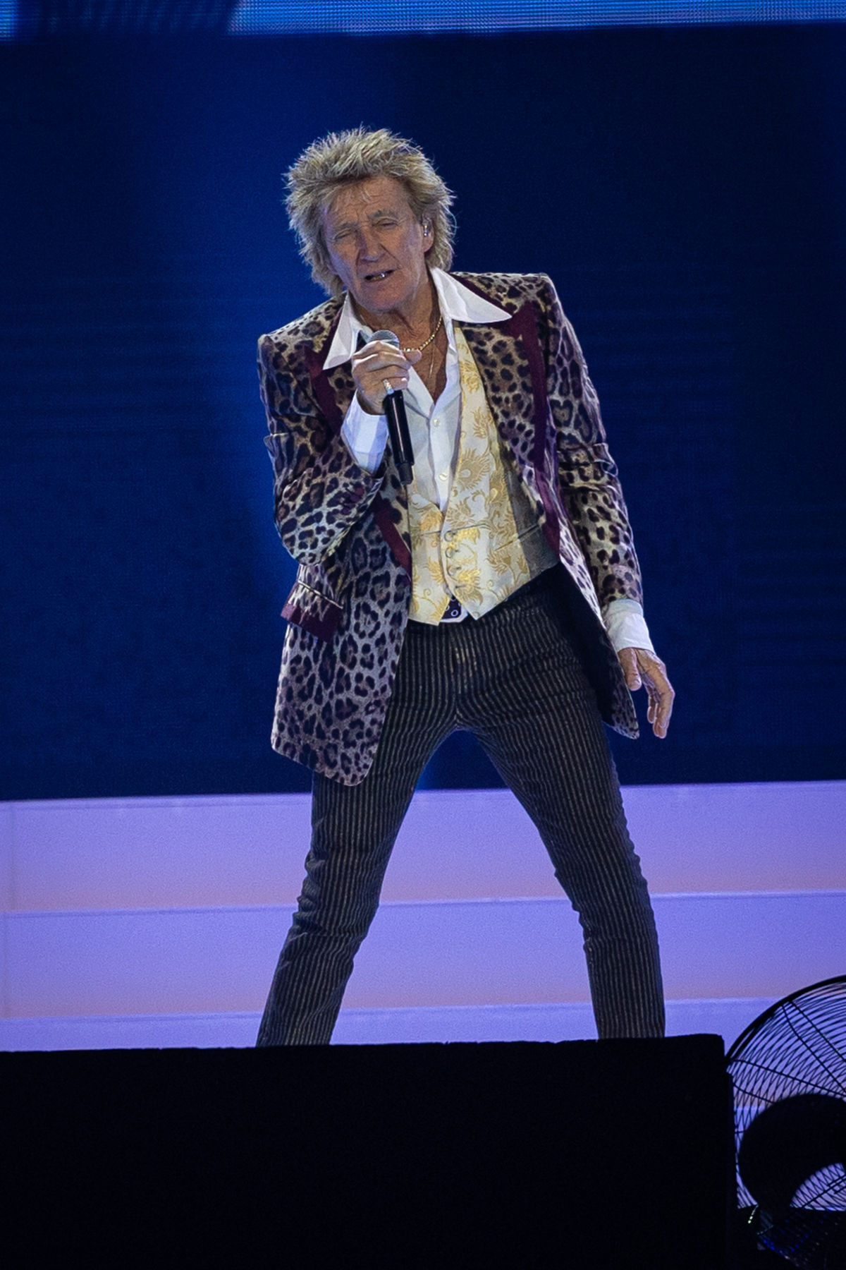 Rod Stewart