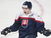 Slovenské kluby majú vo vedení idiotov....