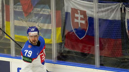 ČR Hokej MS2024 Ostrava B Francúzsko SR