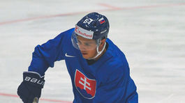 ČR Hokej MS2024 Ostrava B SR Nemecko tréning