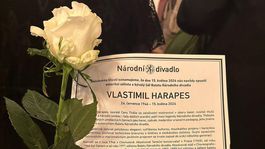 Pohreb, Vlastimil Harapes