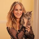 sarah jessica parker, sex v meste, ako to bolo...
