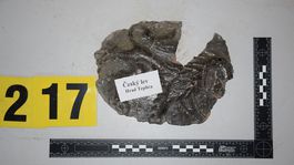 artefakty, kaštieľ, Žiar nad Hronom