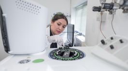 FMG - Laboratory 1