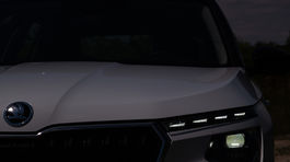 Škoda Kamiq 1,0 TSI - test 2024
