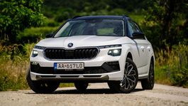 Škoda Kamiq 1,0 TSI - test 2024