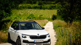 Škoda Kamiq 1,0 TSI - test 2024