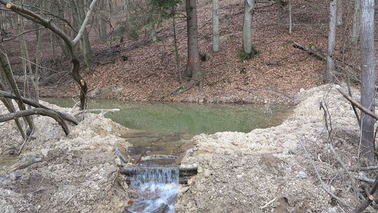 Horné rašelinisko v Bartošovej Lehôtke je...