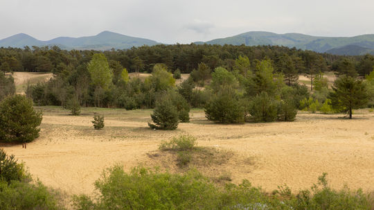To úrodné odvialo a to chudobné na Záhorí zostalo.