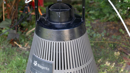 Pasca na komáre u Adriana Fumača v záhrade.