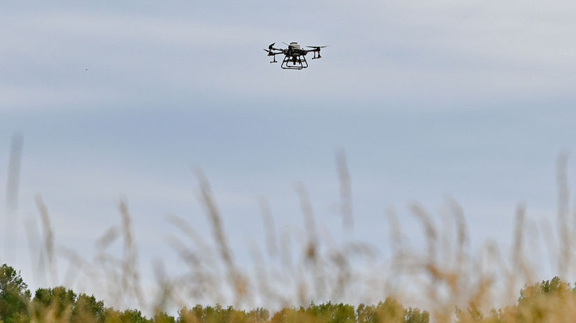 Ovsištská lúka / Komár / Postrek / Dron /