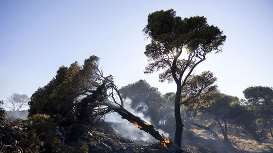 Grécko sužuje vlna horúčav: Blesky zabíjali dobytok a spôsobili požiare