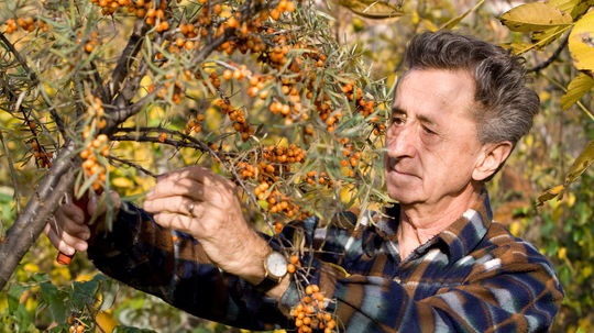 Zahrada, ivan hricovsky