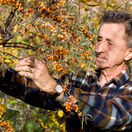 Zahrada, ivan hricovsky