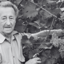Ivan Hričovský
