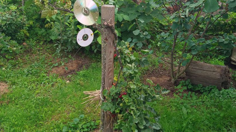 Nesprávne zvolený kolík a zlý úväzok môžu viesť...