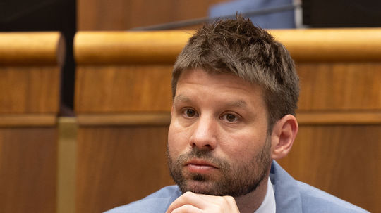 Mimoriadna letná schôdza NR SR: Na snímke...