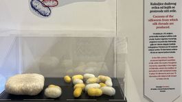 Z expozície v múzeu kravát Cravaticum v...