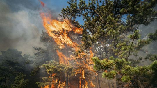 Dovolenka sa zmenila na horor. Z kempingovej dediny v Apúlii museli pre lesný požiar evakuovať asi tisíc turistov