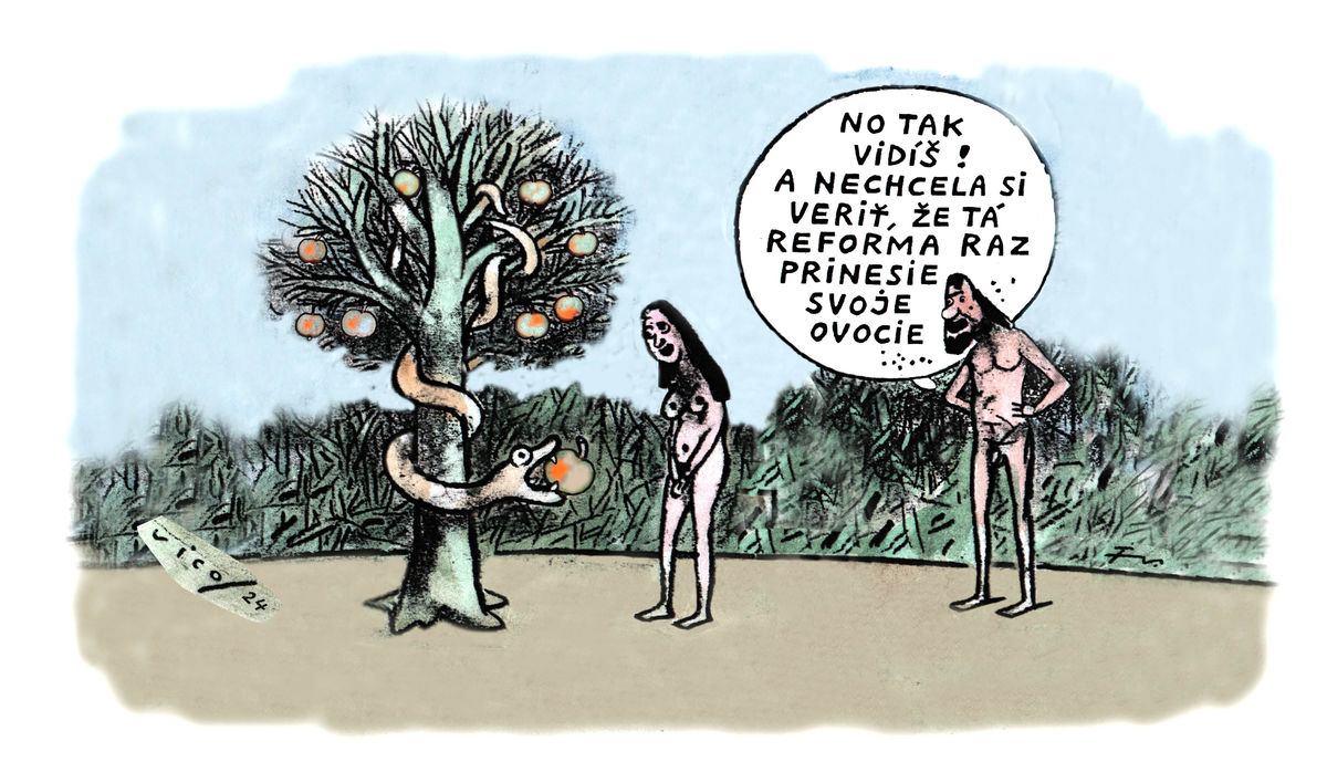 Karikatúra 29.07.2024