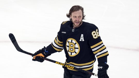 Panthers Bruins Hockey