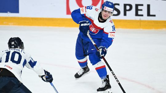 Petrovský si nechal otvorené zadné dvierka. Keď neuspeje na kempe nového tímu NHL, sezónu strávi na severe Česka