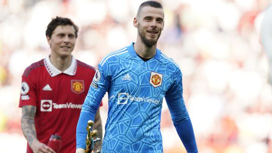 Rok oddychoval, nastal čas vrátiť sa do futbalového kolotoča. De Gea bude chytať v Taliansku