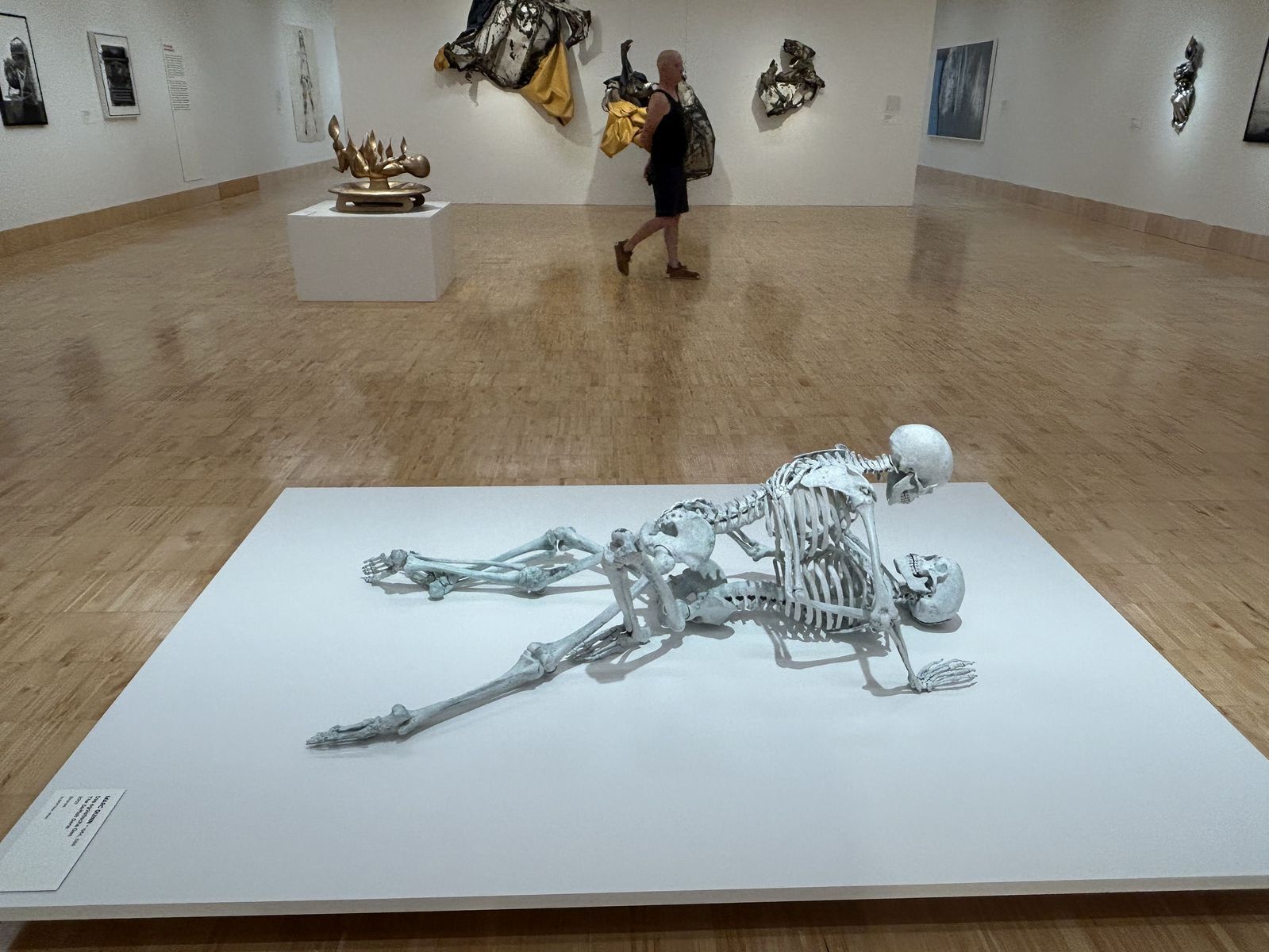 Marc Quinn: Egoistický gén, 2007