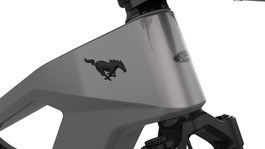 Mustang eBike