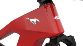 Mustang eBike