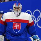 Si kretén, keď uprednostníš klub z KHL pred slovenským dresom. Nemôžeš sa považovať za patriota. Hrdinom Slovákov bude mladý živel