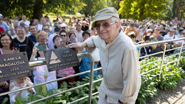 Film Square Festival, Jiří Suchý