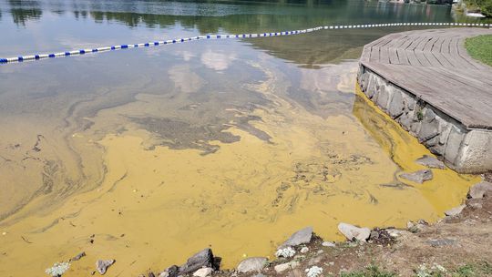 Veľké Kolpašské jazero so žltou hladinou v...