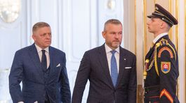 fico, pellegrini