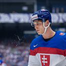 slafko