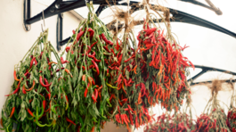 čili, čili papričky, sušenie,