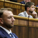 Matúš Šutaj Eštok, Michal Šimečka