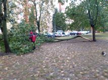 ružinov, strom, búrka