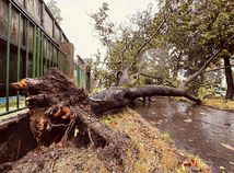 Bratislava hlási rozsiahle škody, k Dunaju...