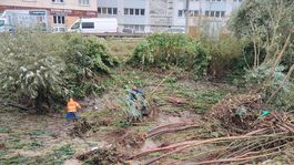 práce, most, Čadca