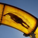 tobogan, šmykľavka, šmýkačka, vodný park, akvapark