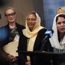 UN General Assembly
