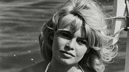 Brigitte Bardot