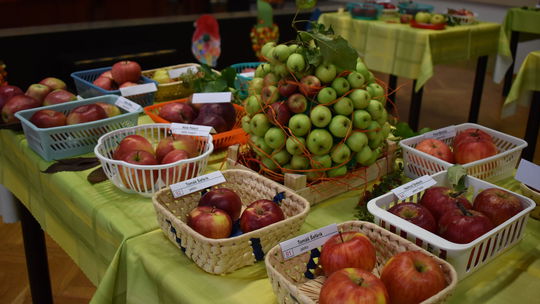 To najlepšie zo svojej tohtoročnej úrody...