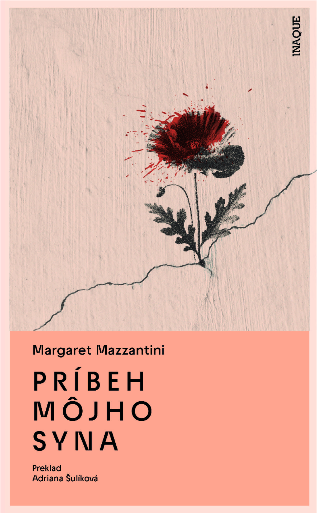 Margaret Mazzantini: Príbeh môjho syna