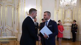 šaško, pellegrini