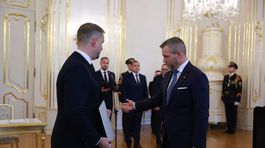 šaško, pellegrini