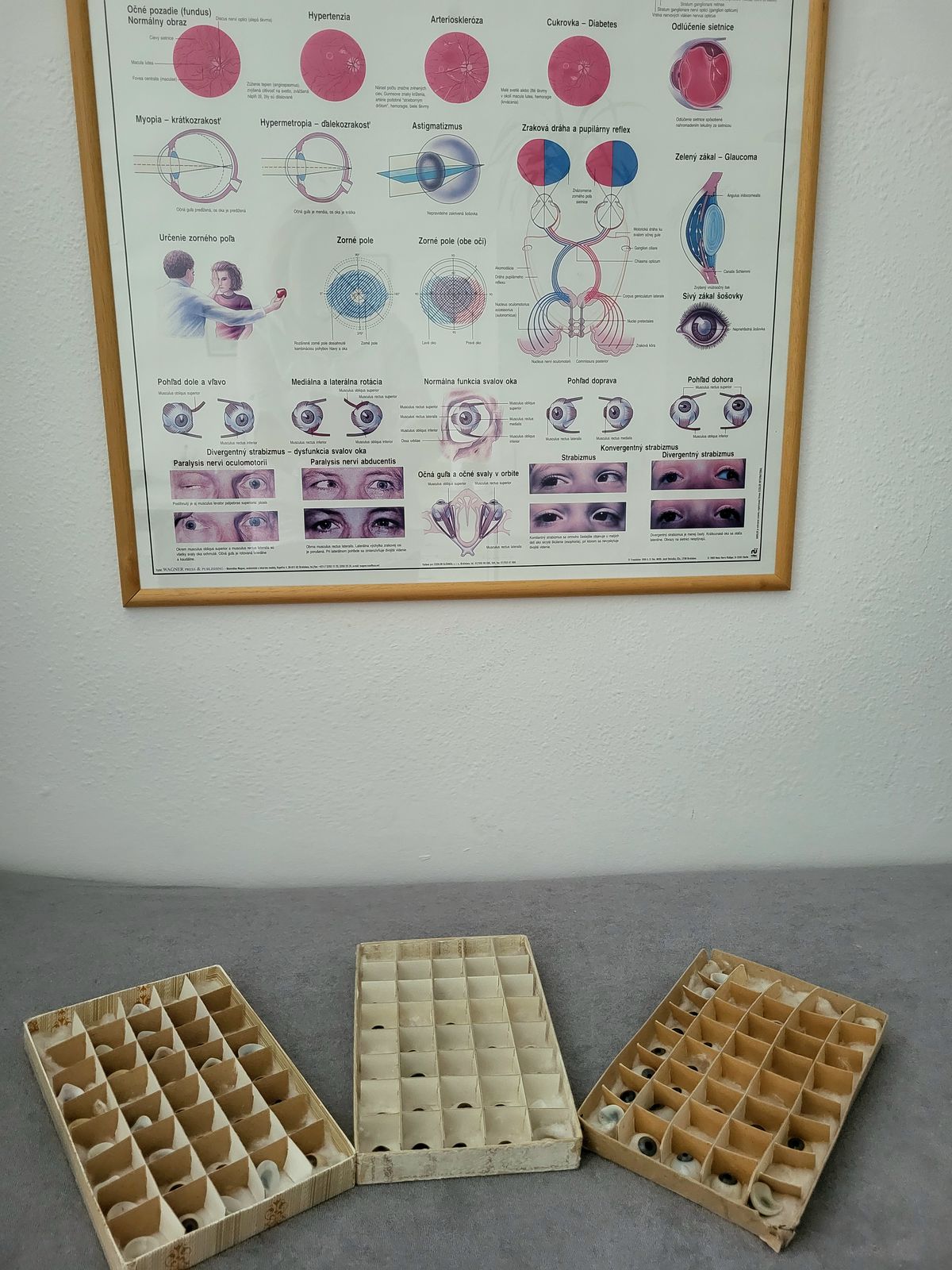V očiach vidíte iskru života. Starí ľudia majú...