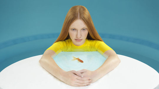 Výber z diela fotografky Báry Prášilovej -...