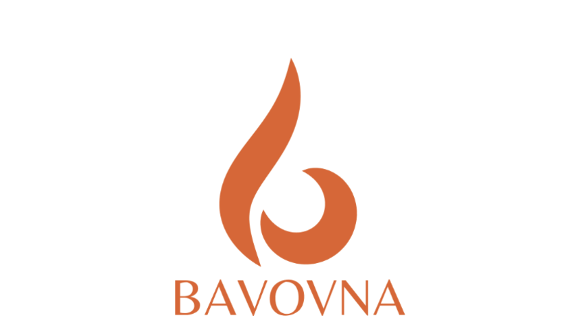 Bavovna AI